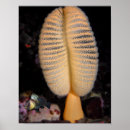 Recherche de sous marine art Poisson
