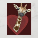Search for giraffe lover postcards Funny
