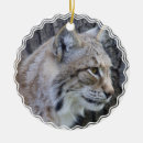 Search for bobcat ornaments Wildlife