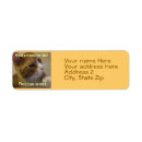 Search for tabby labels Rescue