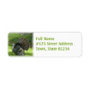 Search for wild turkeys return address labels Bird
