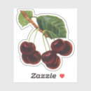 Search for cherry tree stickers Cherries