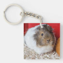 Search for guinea keychains Rodent