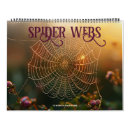 Search for spider calendars Nature