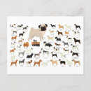 Search for small dog breed postcards Cute