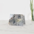 Search for koala picture cards Baby