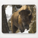 Search for bison mousepads Wild
