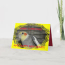 Search for red bird christmas cards Bright