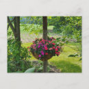 Search for impatiens postcards Flowers