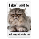 Search for cranky magnets Cat