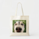 Search for noses accessories Dog