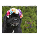 Search for fashion calendars Puppy