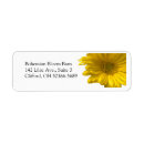 Search for gerbera daisy return address labels Nature