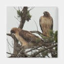 Recherche de arbre vie magnets Beau