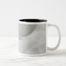Recherche de keukenhof tasses Pays bas