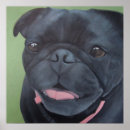 Recherche de carlin noir posters Dog