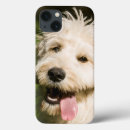 Search for breed ipad cases Goldendoodle