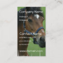Recherche de arabes cartes visite Cheval