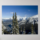 Search for alberta posters Tree