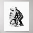 Recherche de évolutionnaire posters Singe