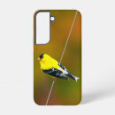 Search for american samsung cases Bird