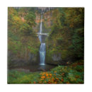 Search for pacific northwest tiles Forest