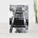 Search for ladder White