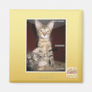 Search for idiot magnets I can has cheezburger