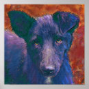 Search for mutt posters Mixed breed