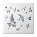 Recherche de hirondelle carreaux Avale