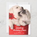 Search for dog bite cards Animal