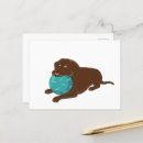 Search for chew postcards Funny