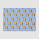 Search for fox tissue paper Animal
