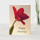 Search for red tulip cards Elegant
