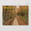 Search for forest path postcards Landscape