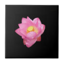 Search for isolation tiles Pink