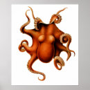 Recherche de vintage octopus posters Céphalopode
