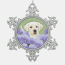 Search for labrador retriever ornaments Puppy