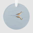 Search for reflection ornaments Photography