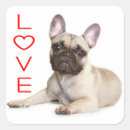 Recherche de french bulldog stickers Chiot