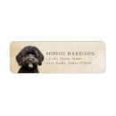 Search for water return address labels Dog