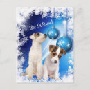 Search for cute puppy christmas cards Jack russell terrier