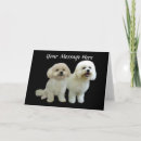 Recherche de bichons vœux cartes Animaux domestiques