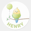 Search for budgie crafts party Fun