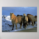 Recherche de iceland posters Winter