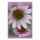 Search for coneflowers art Floral photography