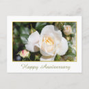 Search for girly romance postcards Pretty
