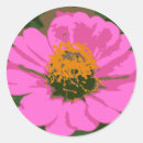 Search for zinnia stickers Purple