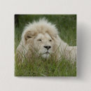 Search for privateer buttons Male