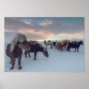 Recherche de equin art Hiver